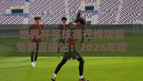 世界杯买球赛在线观看免费直播站：2026年观赛指南与避坑建议