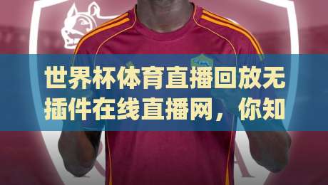 世界杯体育直播回放无插件在线直播网，你知道吗？(世界杯体育直播回放无插件在线直播网) 2026年看球新姿势！