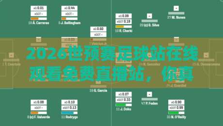 2026世预赛足球站在线观看免费直播站,你真的找对了吗? 2026世预赛足球站在线观看免费直播站,你真的找对了吗?