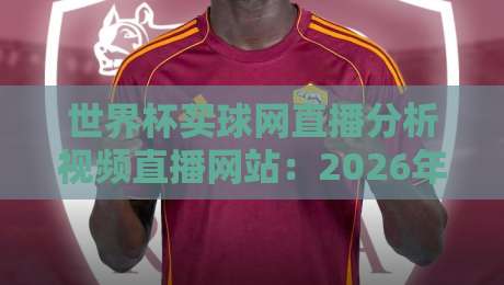 世界杯买球网直播分析视频直播网站：2026年球迷必备的观赛与数据平台