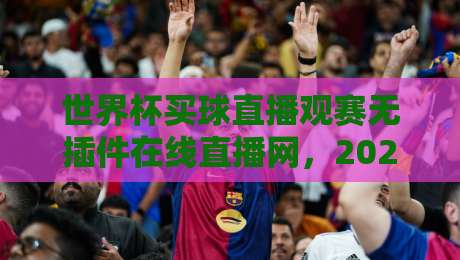 世界杯买球直播观赛无插件在线直播网，2026年球迷必备的观赛神器！