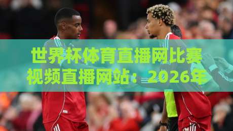 世界杯体育直播网比赛视频直播网站：2026年观赛指南与实测体验