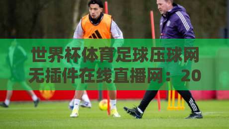 世界杯体育足球压球网无插件在线直播网：2026年观赛新选择，无需插件畅享高清直播