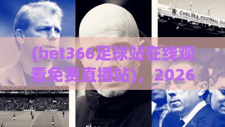 (bet366足球站在线观看免费直播站)，2026年球迷必备：免费直播观赛指南 bet366足球站