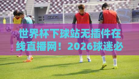 世界杯下球站无插件在线直播网！2026球迷必备观赛指南