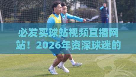 必发买球站视频直播网站!2026年资深球迷的真实体验与避坑指南 必发买球站视频直播网站!2026年资深球迷的真实体验与避坑指南