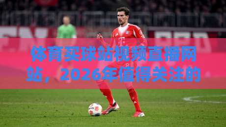 体育买球站视频直播网站,2026年值得关注的五大变化与避坑指南