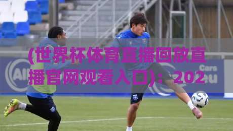 (世界杯体育直播回放直播官网观看入口)：2026年世界杯观赛回放，官方入口全解析！