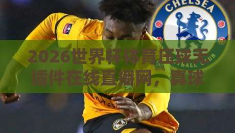 2026世界杯体育压球无插件在线直播网,真球迷的观赛新选择! 2026世界杯体育压球无插件在线直播网,真球迷的观赛新选择!