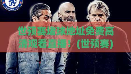 世预赛堵球地址免费高清观看直播!(世预赛)2026年最新观赛指南:教你如何找到真正的免费高清直播源,避开网络陷阱