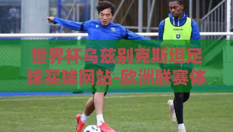 世界杯乌兹别克斯坦足球买球网站-欧洲联赛体育堵球网！2026年球迷必看的安全投注指南