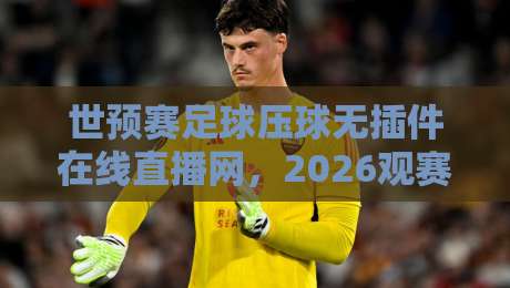 世预赛足球压球无插件在线直播网,2026观赛体验大革新! 世预赛足球压球无插件在线直播网,2026观赛体验大革新!