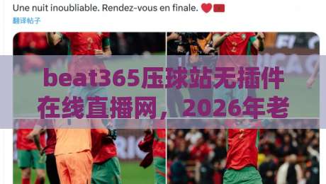beat365压球站无插件在线直播网,2026年老球迷都在用的平台是啥样?
