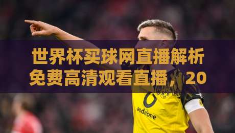 世界杯买球网直播解析免费高清观看直播，2026年观赛新体验