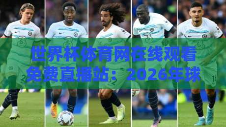 世界杯体育网在线观看免费直播站：2026年球迷必备的观赛神器