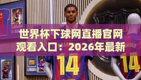 世界杯下球网直播官网观看入口:2026年最新观赛入口与避坑指南