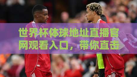 世界杯体球地址直播官网观看入口，带你直击2026激情赛场！