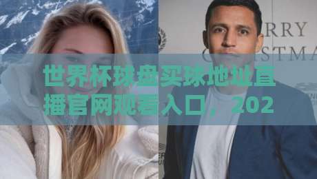 世界杯球盘买球地址直播官网观看入口,2026年观赛指南与避坑攻略