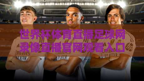 世界杯体育直播足球网录像直播官网观看入口,2026年看球最全指南!