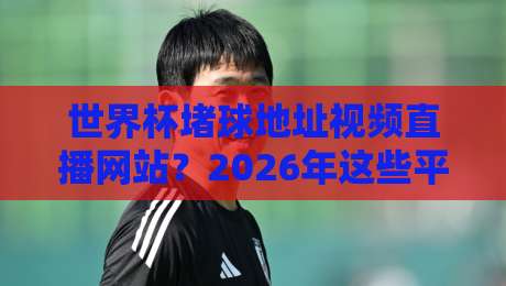 世界杯堵球地址视频直播网站?2026年这些平台才靠谱!