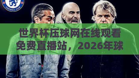 世界杯压球网在线观看免费直播站,2026年球迷必看的观赛攻略 世界杯压球网在线观看免费直播站,2026年球迷必看的观赛攻略