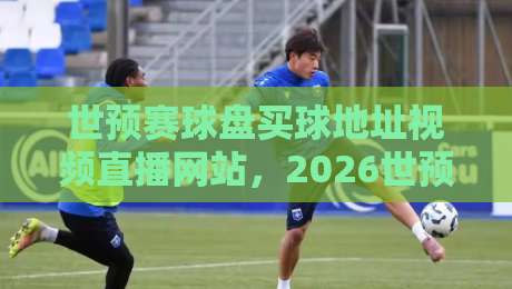 世预赛球盘买球地址视频直播网站,2026世预赛观赛必备指南 世预赛球盘买球地址视频直播网站,2026世预赛观赛必备指南