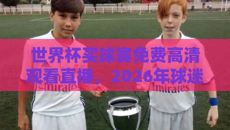 世界杯买球赛免费高清观看直播，2026年球迷必知的五大观赛渠道