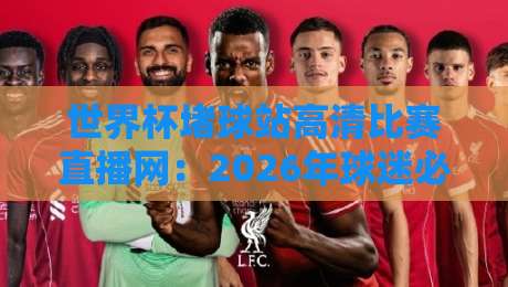 世界杯堵球站高清比赛直播网:2026年球迷必备的观赛神器?