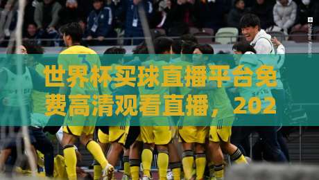 世界杯买球直播平台免费高清观看直播，2026年观赛神器大盘点！