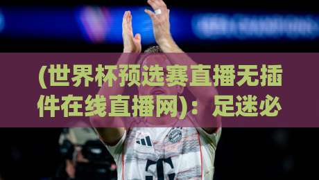 (世界杯预选赛直播无插件在线直播网)：足迷必备！2026世预赛观赛指南与避坑攻略