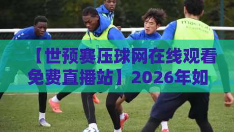 【世预赛压球网在线观看免费直播站】2026年如何免费畅享世预赛？球迷必看的避坑指南