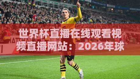 世界杯直播在线观看视频直播网站：2026年球迷必知的5个观赛渠道