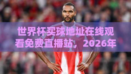 世界杯买球地址在线观看免费直播站，2026年球迷必看的高清观赛指南