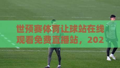 世预赛体育让球站在线观看免费直播站，2026年最新观赛指南与让球技巧！