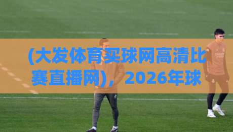 (大发体育买球网高清比赛直播网)，2026年球迷必备的高清观赛指南，别再踩坑了！