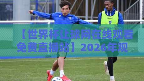【世界杯让球网在线观看免费直播站】2026年观赛新姿势：让球盘口与免费直播一站搞定