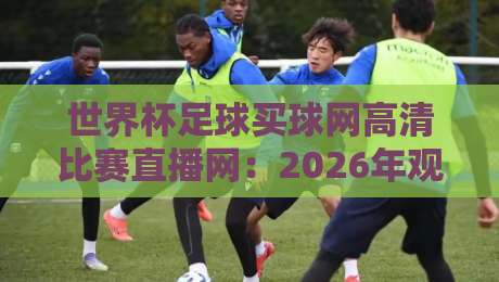 世界杯足球买球网高清比赛直播网：2026年观赛新选择？