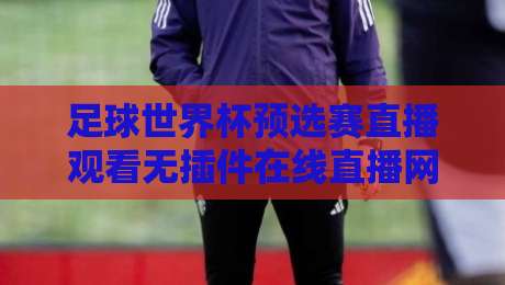 足球世界杯预选赛直播观看无插件在线直播网：告别卡顿，2026世预赛免费高清看