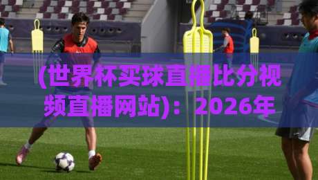 (世界杯买球直播比分视频直播网站)：2026年观赛指南，这些平台让你不错过每一粒进球