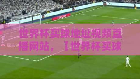 世界杯买球地址视频直播网站,【世界杯买球地址】2026年最新观赛指南与避坑建议