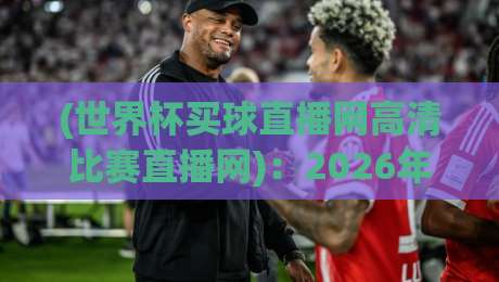 (世界杯买球直播网高清比赛直播网)：2026年看球新姿势，高清不卡顿才是硬道理
