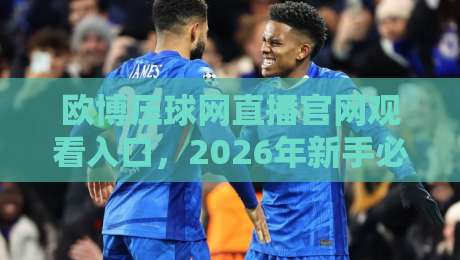 欧博压球网直播官网观看入口，2026年新手必看避坑指南