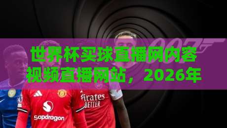 世界杯买球直播网内容视频直播网站,2026年球迷到底该怎么选?
