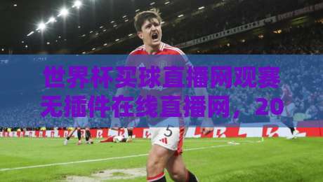 世界杯买球直播网观赛无插件在线直播网,2026看球就该这么爽?