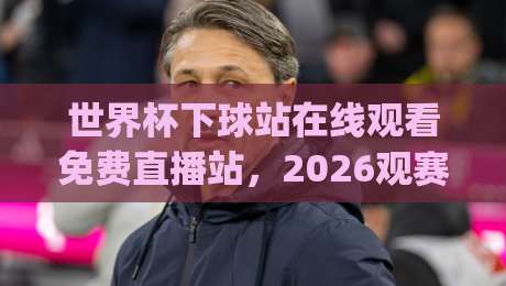 世界杯下球站在线观看免费直播站，2026观赛新姿势！(世界杯下球站在线观看免费直播站)