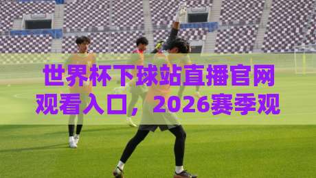 世界杯下球站直播官网观看入口，2026赛季观赛指南与平台甄别全攻略