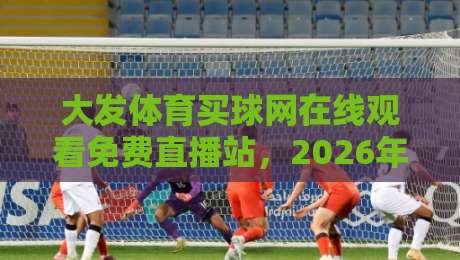 大发体育买球网在线观看免费直播站,2026年实测避坑指南(大发体育买球网在线观看免费直播站)