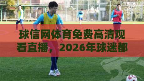 球信网体育免费高清观看直播,2026年球迷都在用的观赛渠道解析