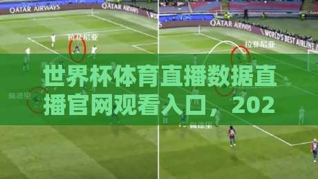 世界杯体育直播数据直播官网观看入口,2026观赛指南与避坑心得