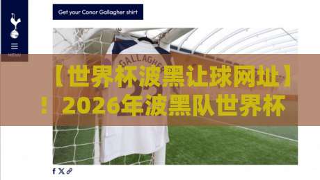 【世界杯波黑让球网址】!2026年波黑队世界杯盘口密码与实战指南 【世界杯波黑让球网址】!2026年波黑队世界杯盘口密码与实战指南